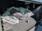 2023 Jeep Wrangler Base 4xe