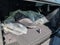 2023 Jeep Wrangler Base 4xe
